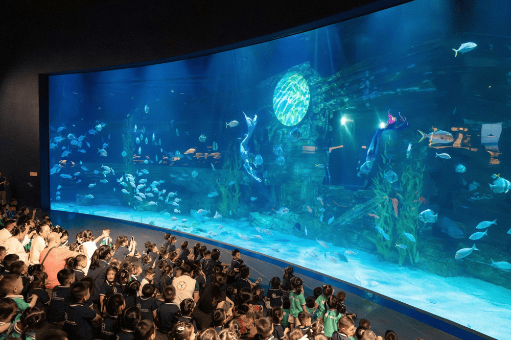 Children explore marine wonders and enjoy interactive learning games in a colorful, family-friendly setting (Source: Fanpage Lotte World Aquarium Hà Nội)